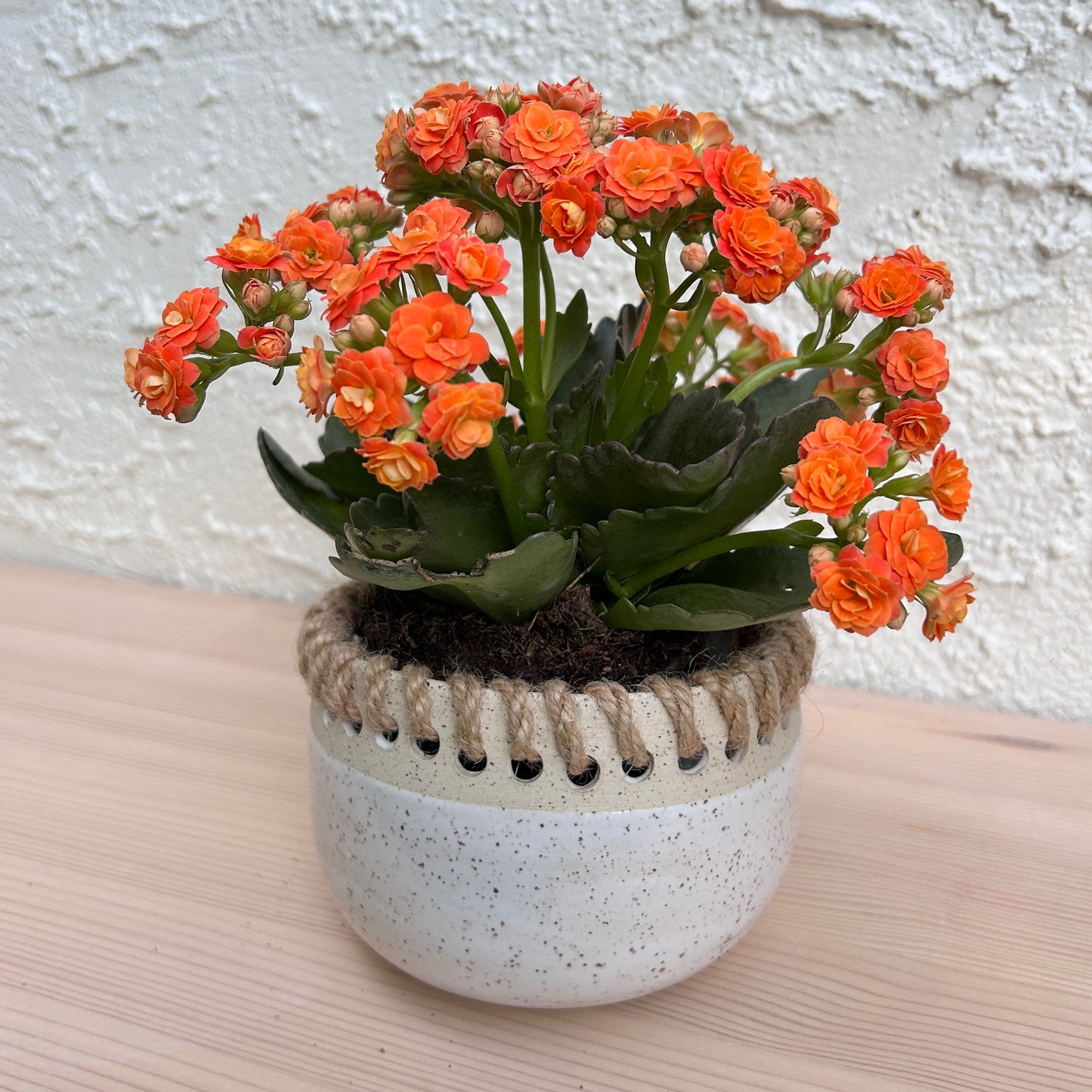 Small Vase - Speckled white w/ twine detail