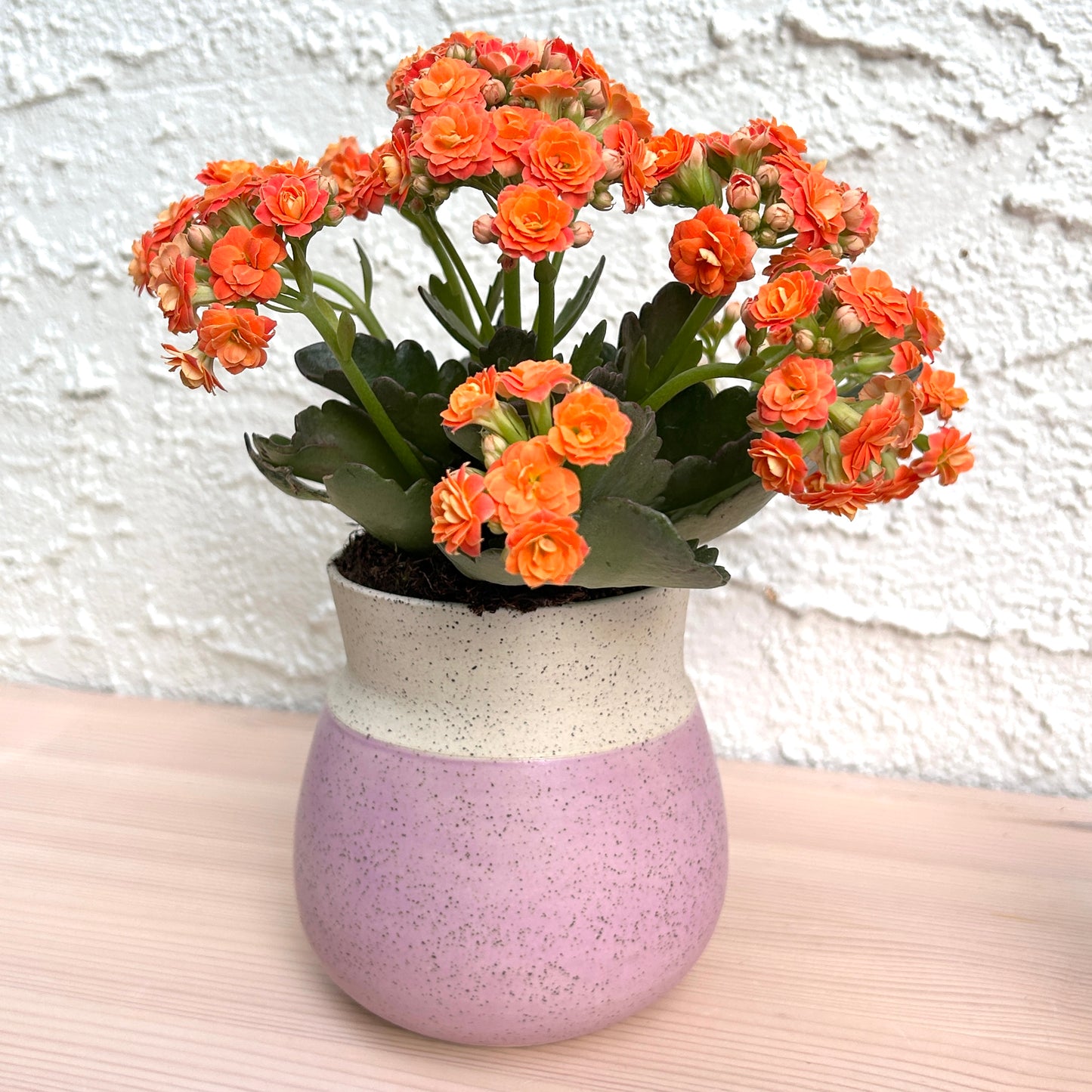 Small Vase | Violet Matte
