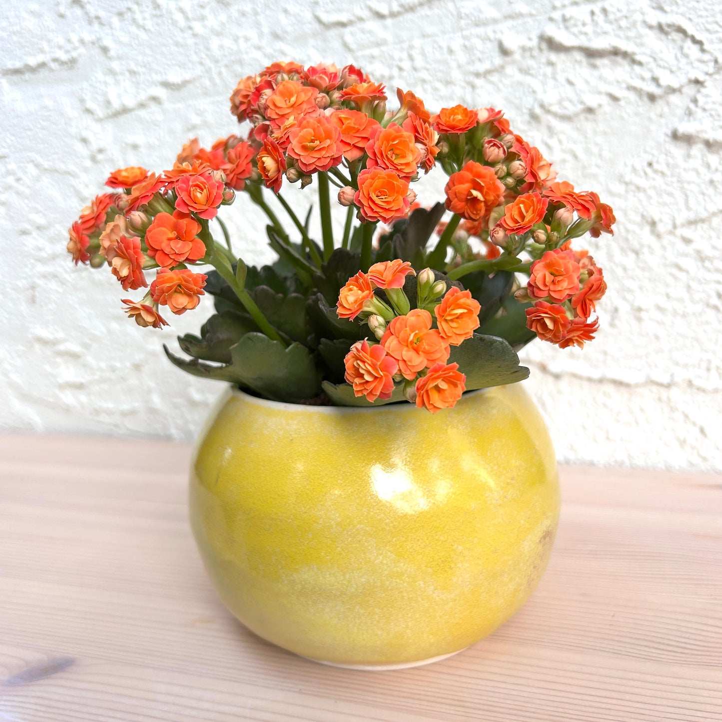 Small Vase | Harvest Gold Globe