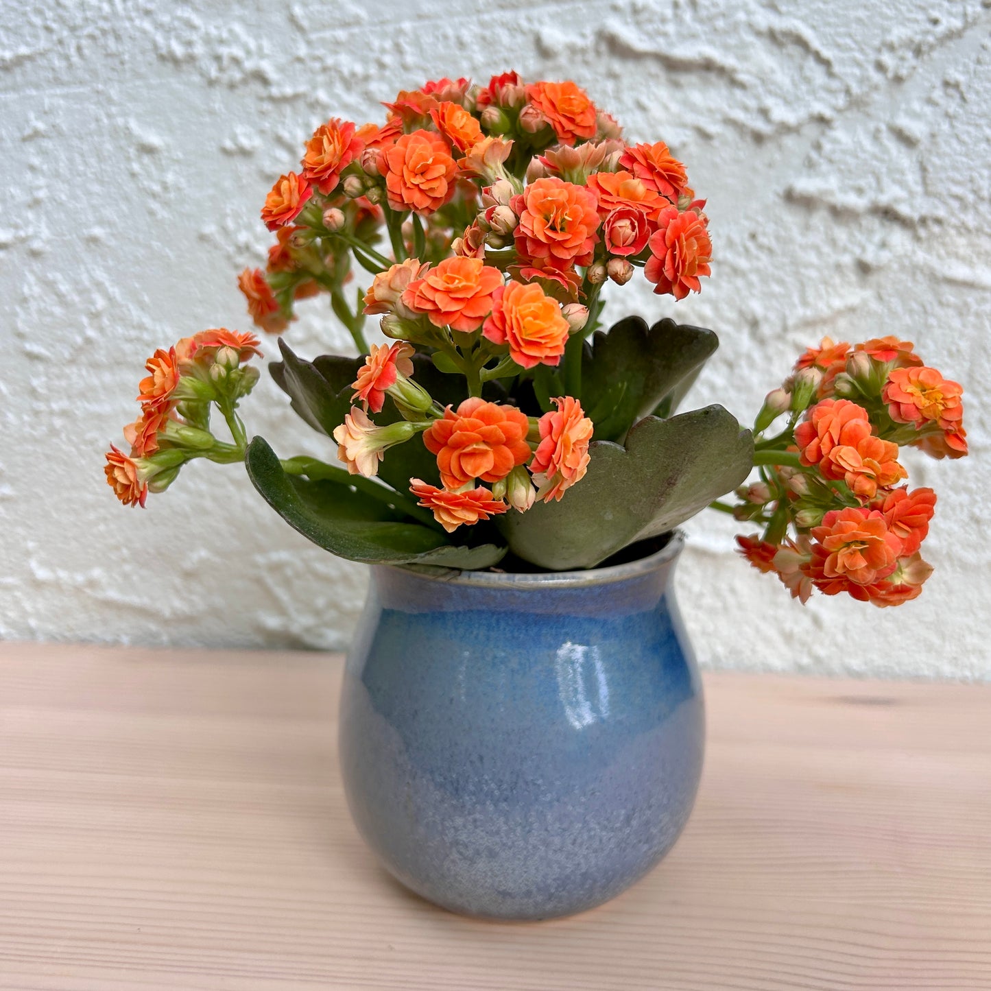 Small Vase | Blue Globe