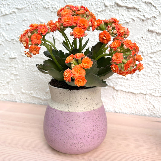 Small Vase | Violet Matte